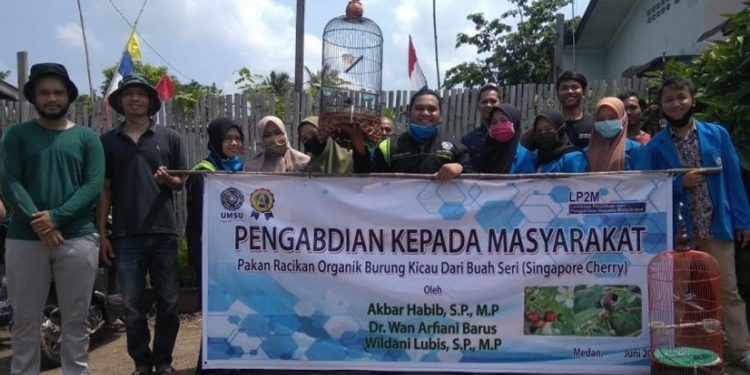 Pertanian UMSU Sosialisasikan Manfaat Buah Seri untuk Pakan Burung